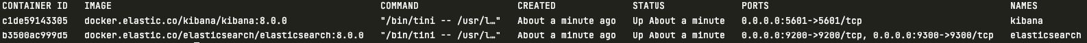 Terminal Output 1